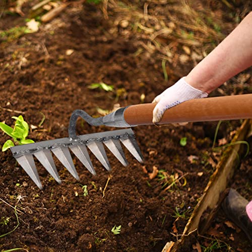 Aeihevo Dethatcher Carbon Garden Hand Rake,Metal Heavy Duty Tine Rake, Dethatching, Weeding, Acreage Rake, Rock, Gravel, Root & Garden Cultivator Rake, 4/5/6/7 Tines #TOP4