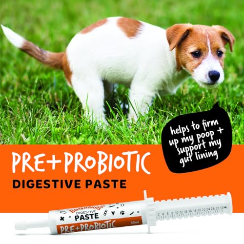 BUGALUGS Dog Probiotic Digestive Paste for Dog & Cat - Gut Health, Digestive Supplements with Fast-Acting Ingredients for Dogs & Cats (30ml) - Image 3