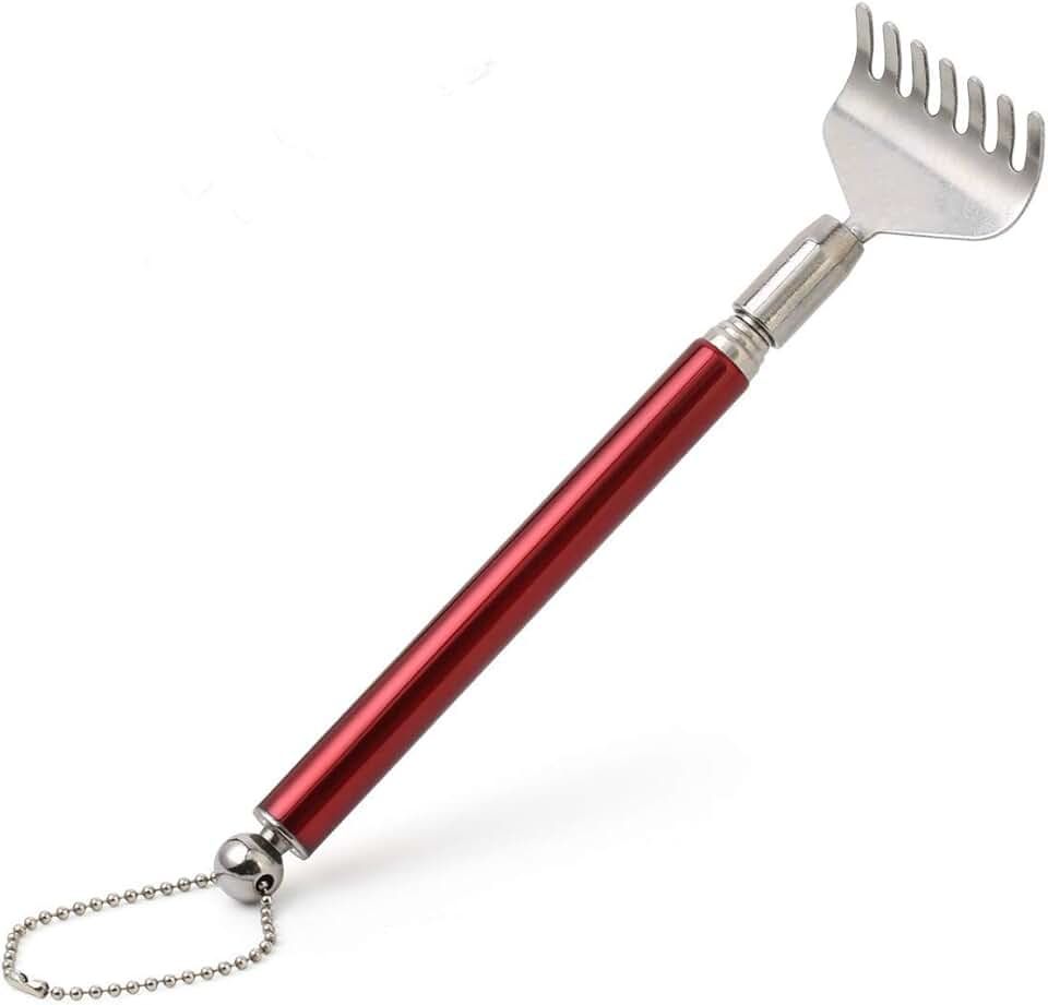 electric back scratcher