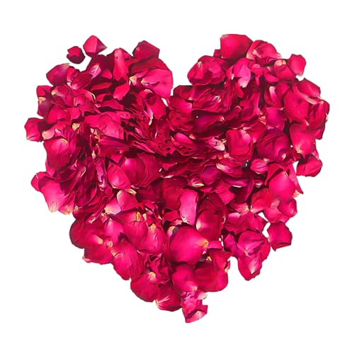 140g De Pétales De Rose Rouge, Pétales Séchés Naturels, Décoration De Vrais Pétales, Décoration D'ambiance De Fête De Mariage, Fleurs D'accessoires De Photographie