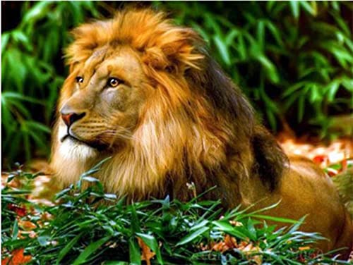 Kit point de croix imprimé Lion aux feuilles vertes 11CT 40x50 cm pour broderie débutant