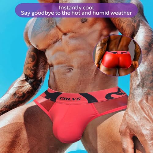 Men's Ice Silk Mesh Briefs Underwear Low Rise Bikini Panties Breathable Convex Underpants3