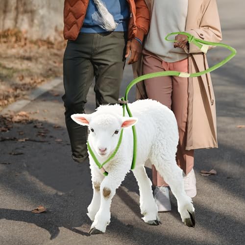 Image of Goat Harness for Walking, Goat Supplies Accessories Washable Leash, Livestock Supplies for Sheeps