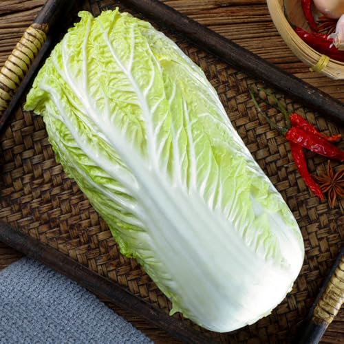 semillas de col china, semillas de jardín Semillas de Pak Choi resistentes, variedades antiguas de balcón resistentes 600pcs