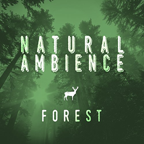 Nature Spa Meditation Music