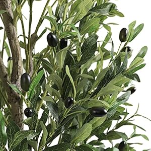 VIAGDO Artificial Olive Tree 7ft Tall Fake Potted Olive Silk Tree with Planter Large Faux Olive Branches and Fruits Artificial Tree for Home Office Living Room Decor Indoor, 2232 Leaves VIAGDO Artificial Olive Tree 7ft Tall Fake Potted Olive Silk Tree with Planter Large Faux Olive Branches and Fruits Artificial Tree for Home Office Living Room Decor Indoor 2232 Leaves