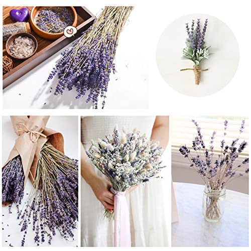 24 Pack Ramas secas de eucalipto y lavanda 15 pulgadas miniatura 3