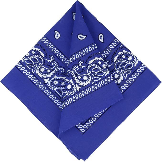 Image of SPIN CART Soft Breathable Cotton Paisley Bandana Handkerchief For Hair Head Bike For Men & Women