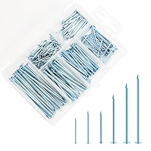 Assortiment de Clous 250 Pcs Clous de Meubles 6 Taille Clous Muraux Clous à Tête Plate Galvanisé Clous de Meubles Décoratifs pour Bois Béton Bricolage Accrochage