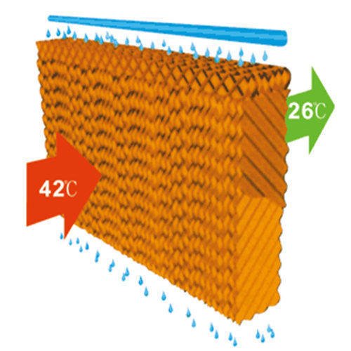 Pad Amazon.in Industrial & Scientific