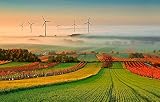 FAWFAW Puzzle Adulte 1000 Pièces, Puzzle 3D, Paysage De Matin De Vignoble d'automne Français DIY Puzzle en Bois Cadeau Unique Décoration De La Maison 75X50Cm