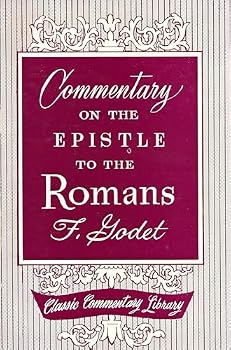 Hardcover The Epistle to the Romans: A Zondervan Commentary Book