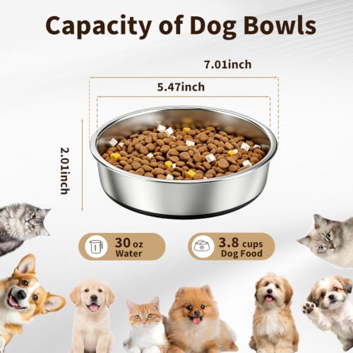 Stainless Steel Dog Bowls 3.8 Cup 2 Pack Non Slip Durable - Image 4