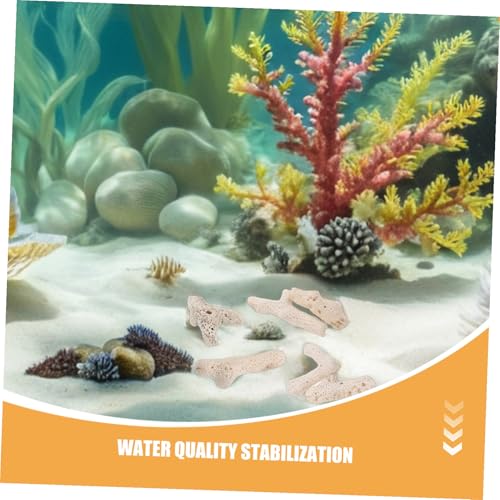 Aménagement paysager pour bassin et aquarium : créez un décor aquatique naturel BESPORTBLE