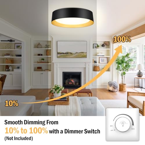 Image of Flush Mount Ceiling Light, 16in Modern Ceiling Light 5 Color Temperature