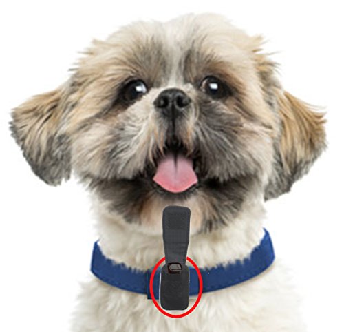 esfranki dog tracker