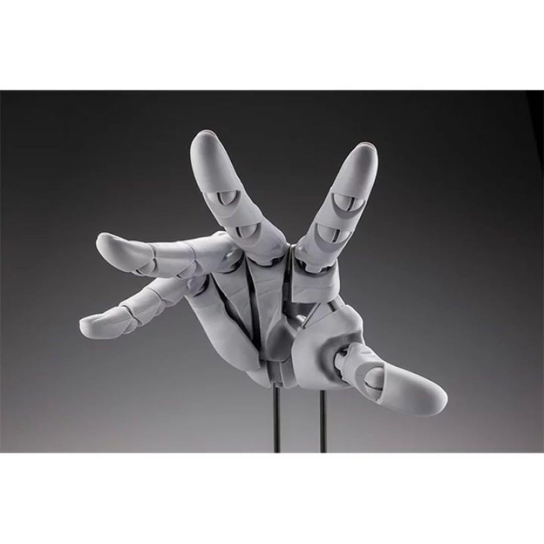 Amazon.co.jp: コトブキヤ ARTIST SUPPORT ITEM ハンドモデル R -GRAY 