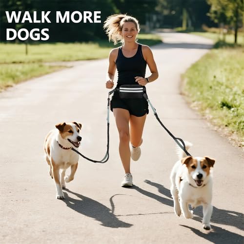 Moorstdel Joggingleine mit Bauchgurt für 2 Hunde,Verstellbar Übungsleine,Freihandleinen für Doppelter Hunde,mit Reflektierend Elastisch Laufleine und Dual Griffe zum Joggen und Walken