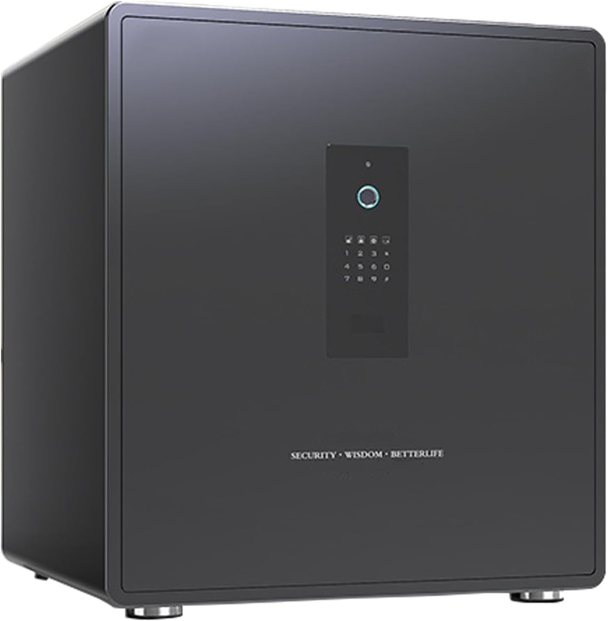 Biometric Safe with Fingerprint Access - Personal Fire-Resistant Safe Box for Documents, Money, and Jewelry - Multiple Secure Access Methods