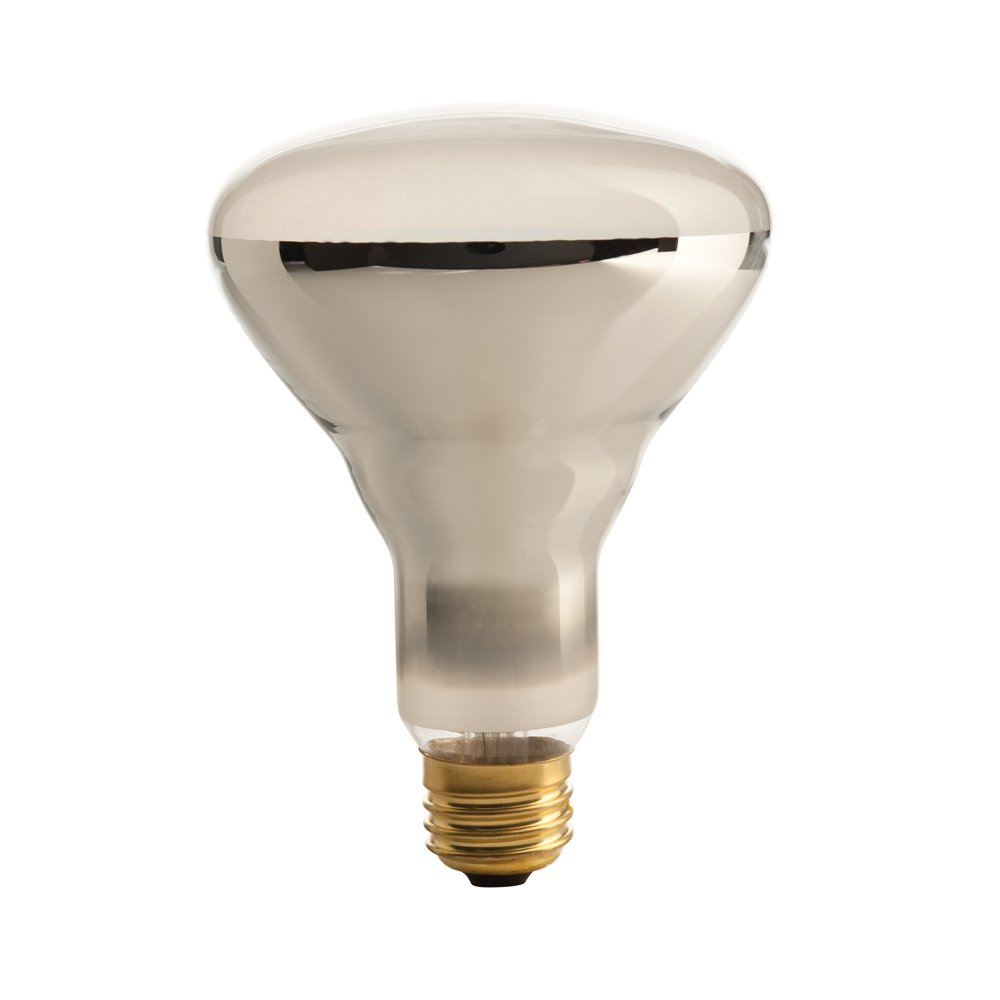 315 65-watt Reflector Dimming Night Light Smart Dimmer Bulb with Standard Base Socket