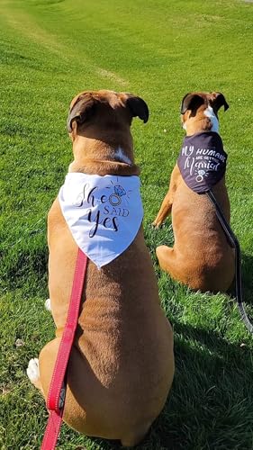 My Humans are Getting Married She Said Yes Dog Bandana for Wedding Engagement Photos, Pet Scarf Accessories for Dog Lovers, Bridal Shower Gift, Pack of 2