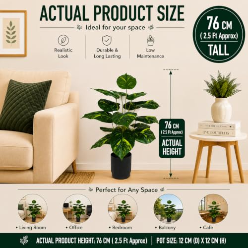 Image of Cocco.BUA Artificial Plant with Black Pot, 18 Leaves, 76 CM (2.5 Feet) (Variegated Green Plant)