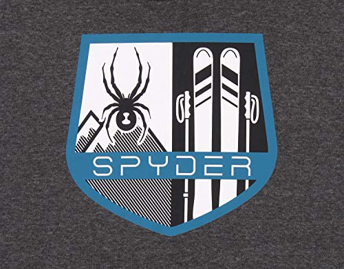 Spyder Men's Signature Hoodie, Color Variation2