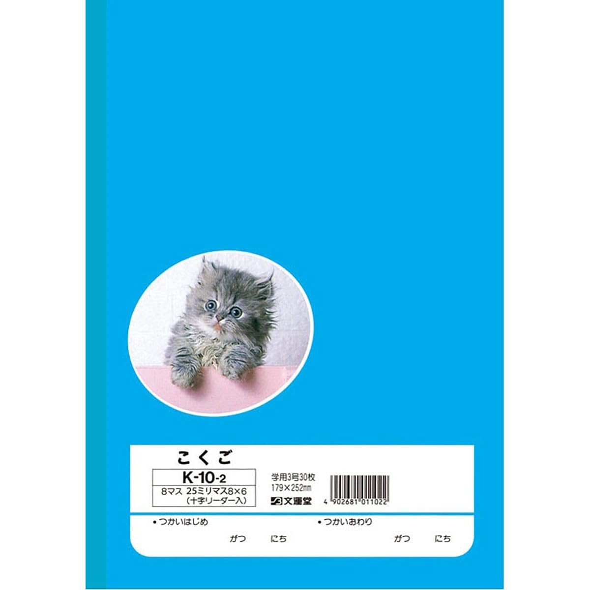 Japanese Character Practice Notebook Set