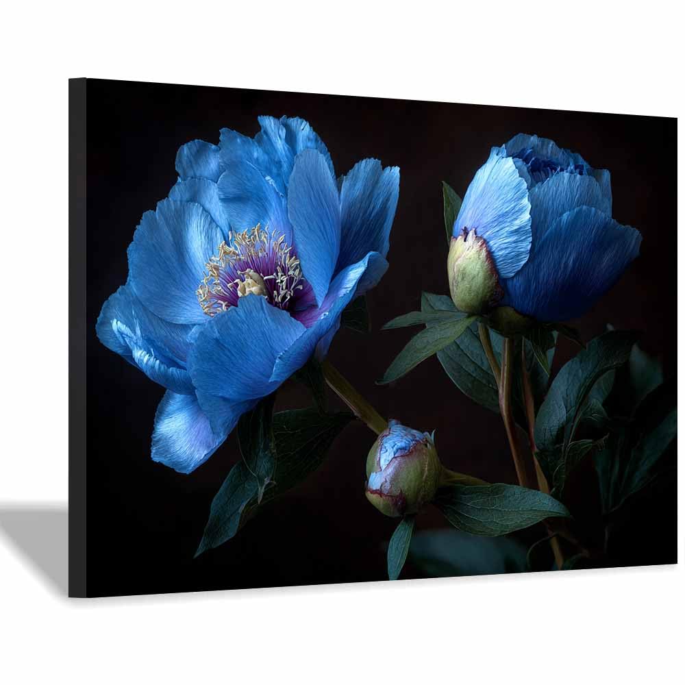 Xeniou Multicolor Flowers Wall Art Darkest Blue Peony Art Canvas Wall Art, For Living Room Bedroom Home Wall Decoration(Multicolor)-20X30cm Framed