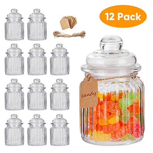 Glass Jars,Flrolove Set of 12 with Lids 8 oz,Yogurt Jars Glass Pudding Jars with Clear Preserving Seal Wire&Tag and hemp rope, Glass Kitchen Storage Canister Mason Jars for Jam, Honey, Spices