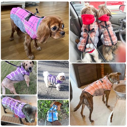 Beautyzoo NOR_6048109PPL_XS Dog Winter Coat, Warm Dog Jacket With Harness Built In For Small Medium Large Dogs, Dog Cold Weather Coats Snowsuit thumb #1