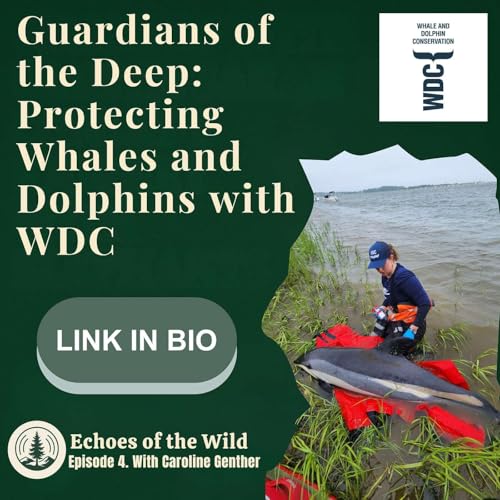 Episode 4 - Guardians of the Deep: Protecting Whales and Dolphins with WDC