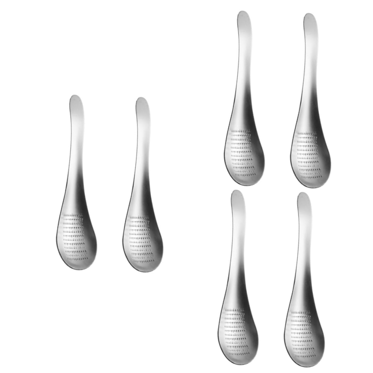 DECHOUS 6stücke Edelstahl Knoblauch Und Ingwerzerkleinerer Multifunktionale Reibe Für Gewürze Und Gemüse Einfach Zu Reinigen Lagern Für Küche