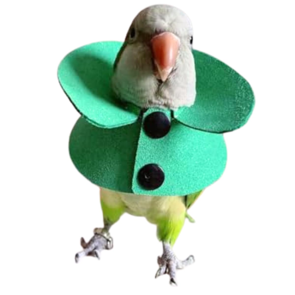 Pet Parrot Anti-bite Elizabethan Collars, Anti-Grab Feather Plucking Wound Healing Safety Recovery Collar Cones for Budgerigar Lovebird Conure Cockatiel Cockatoo Random Color (2M)