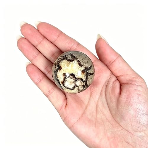NIBHZ Natural Crystal Rough Natural Crystal Rough Natural Crystal and Stone Natural Turtle Stone Ball Crystal Ball Sample Decoration Healing,60~70mm