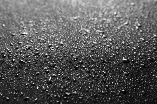 Blackstone - Custodia protettiva per planchas a 4 bruciatori