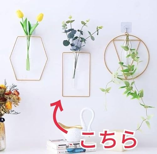 t[x[X Ǌ|  CeA ԕr ֑}