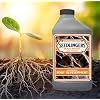 Seedlingers Root Boost Pint Concentrate