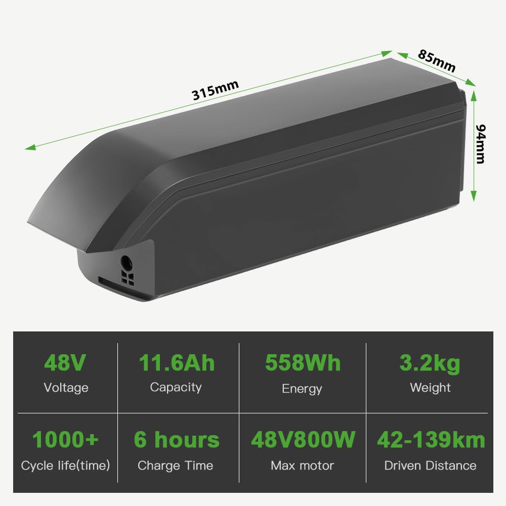 E-Bike 48V 11,6Ah Li-ion Batterie mit Ladegerät Phylion Akku SF-06S JCEB480-11.6 für 250W-800W E-Bikes Pedelecs von Fischer (48V 11,6Ah)