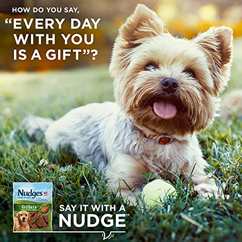 Blue Buffalo Nudges Grillers Natural Dog Treats, Chicken, 10oz Bag