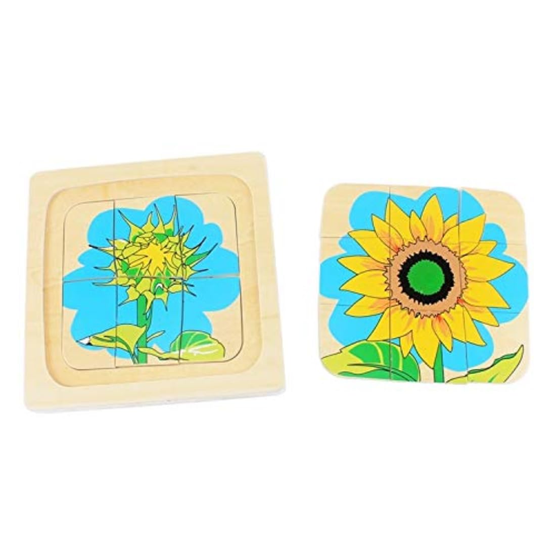 Montessori Children Wood Plant Education Toy Baby Toddler Life Cycle of Sunflower Puzzles Jingsaw Preschool Brinquedos Juguets - Image 4