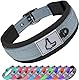 Joytale Halsband Hund, Weich Hundehalsband Gepolstert Neopren Hunde Halsband für Mittelgroße Hunde, Nylon Reflektierend Breit Halsbänder, Grau