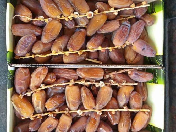 Image of Barari Tunisian-Deglet Nour Dates 500g (Imported From Tunisia] (Pack Of 1) Fresh