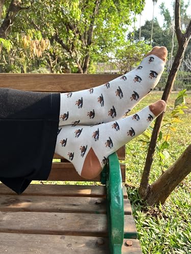 Image of Mint & Oak Long Socks For Men, Soft Cotton Calf Length Socks, Colorful Sock Gift For Men, Full Length & Odour Free, Funky Socks - Gift Box of 3