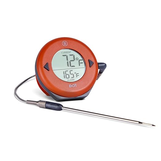 DOT Simple Alarm Thermometer