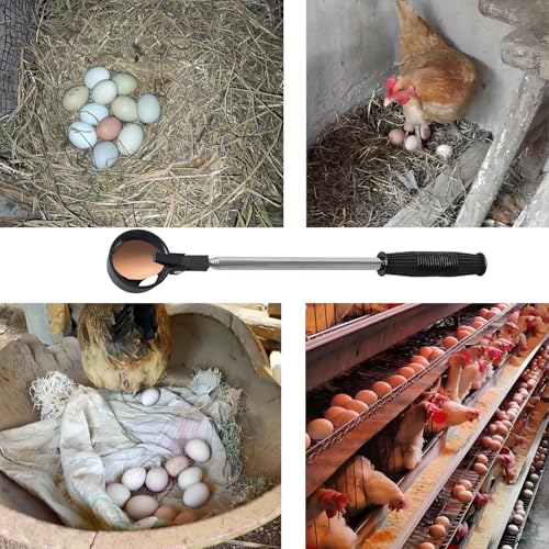 Egg Grabber Reacher Tool for Chicken Eggs Collector, Extender Reacher Grabber Pickup Tool for Chicken Coop, Farm, Poultry Nest, Chicken Coop Accessories Homesteading Essentials - Image 6