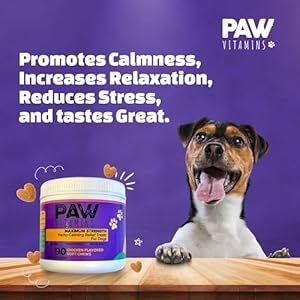 Premium-Hemp-Natural-Calming-Dog-Chews-Made-in-The-USA-with-Hemp-Oil-Chamomile-Tryptophan-Melatonin-Valerian-Root-90-Count-No-THC - Cucciolini Doodles   Premium-Hemp-Natural-Calming-Dog-Chews-Made-in-The-USA-with-Hemp-Oil-Chamomile-Tryptophan-Melatonin-Valerian-Root-90-Count-No-THC