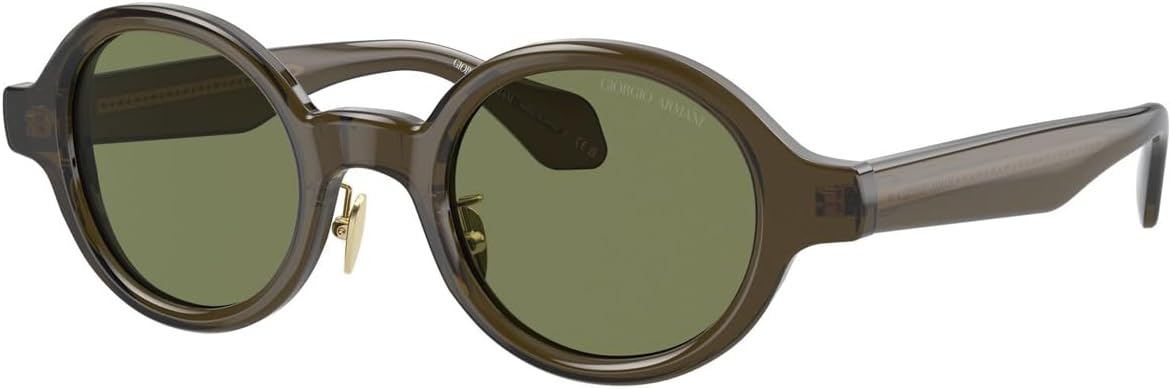 Sunglasses AR 8205 60612A Trasparent Green