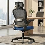 Blisswood Office Chairs for Home Office, Executive Office Chair with Lumbar Support 130° Reclining Computer Desk Chair Adjustable Height and Flip-up Armrests, Tilt Function 360° Swivel for Working