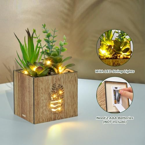 Elecoutek 3 Set Artificial Plants Indoor Fake Succulent Plants with LED Light in Wooden Box, Faux Plants in Pots, Plastic Potted Plants for Office Desk shelf Bathroom Home House